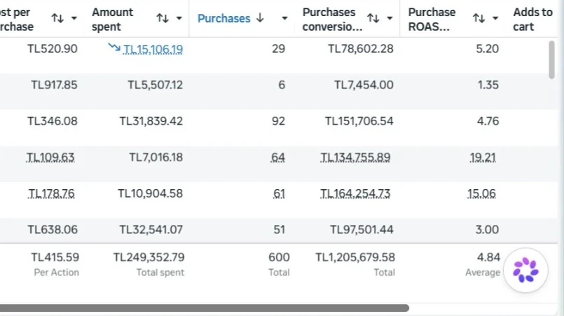 Meta Reklam Yöneticisi tablosu: toplam harcama 249.352 TL, 600 satın alma, 1.205.679 TL dönüşüm değeri, ortalama ROAS 4,84
